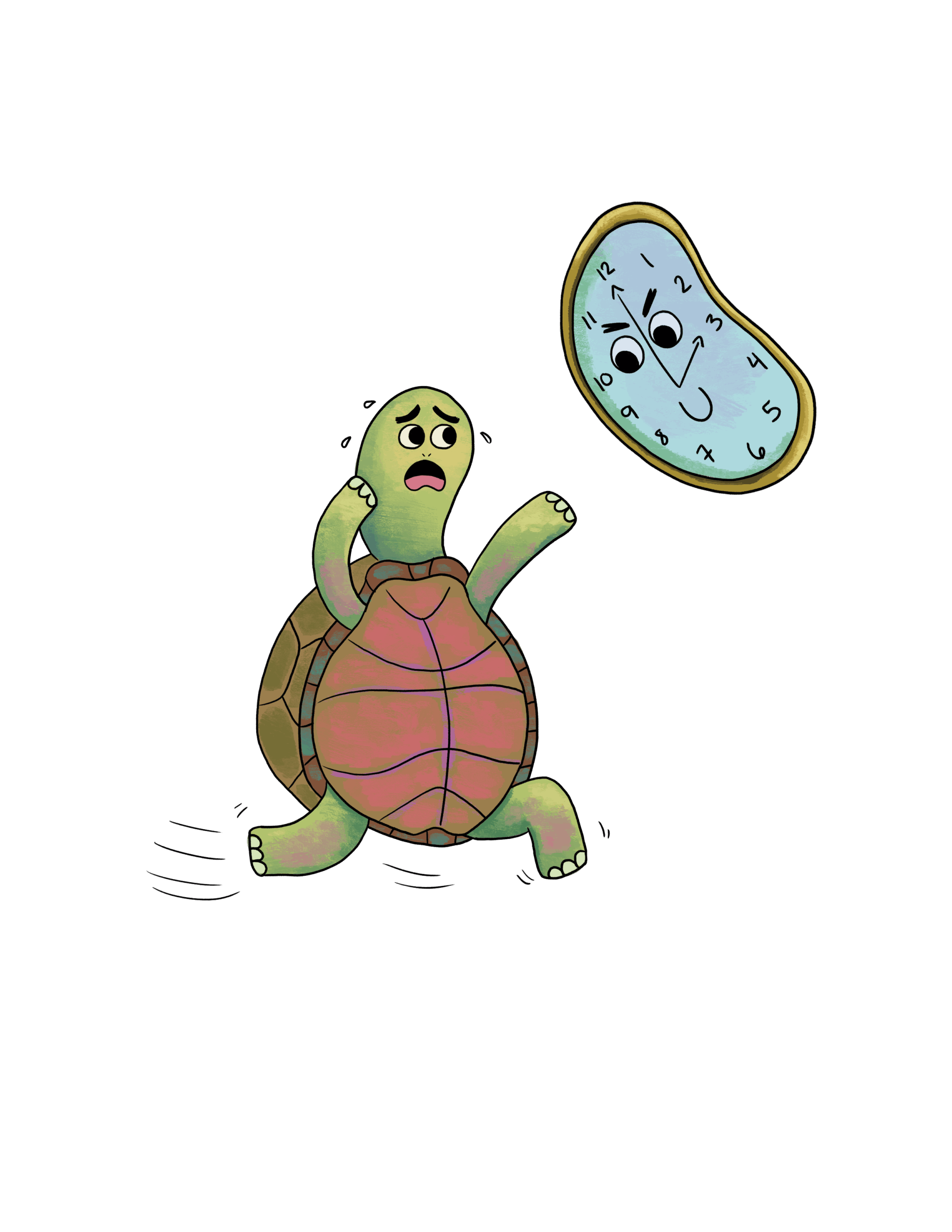 tortuga tiempo